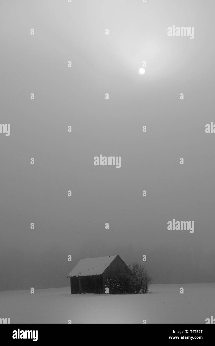 Paysage d'hiver sur un jour d'hiver brumeux, au sud d'Augsbourg, souabe, Bayern, Germany, Europe Banque D'Images