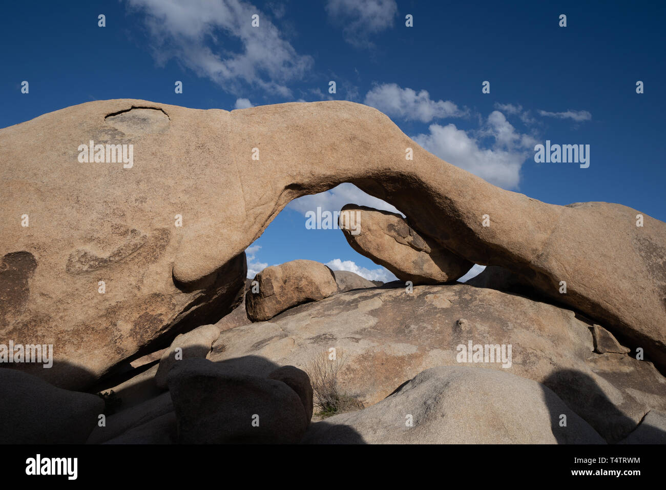 Arch Rock dans le parc national Joshua Tree en fin d'après-midi soleil Banque D'Images