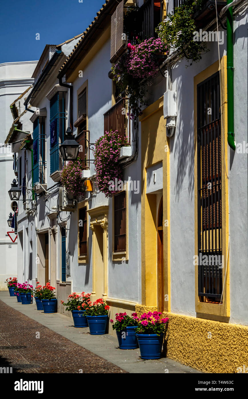 Des maisons blanches et des fleurs colorées au cours de 'Festival de los patios', Cordoue, Espagne Banque D'Images