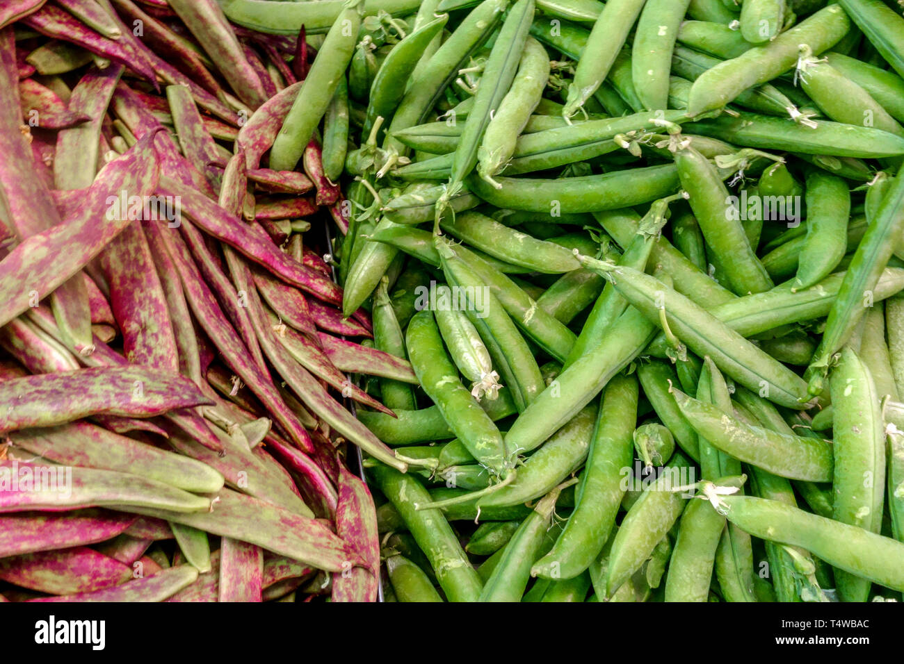 Gousses de pois frais au marché fermier légumineuses, plantes Banque D'Images