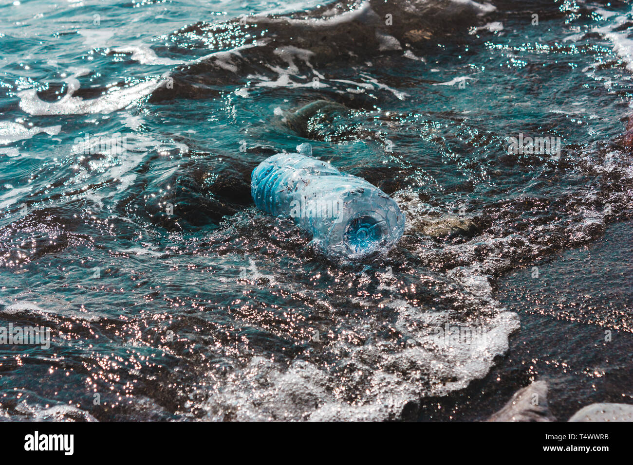 Bouteille en plastique. Concept de la pollution de l'environnement, de l'océan, sur la mer, la nature. Sauver la planète.zéro déchets Banque D'Images