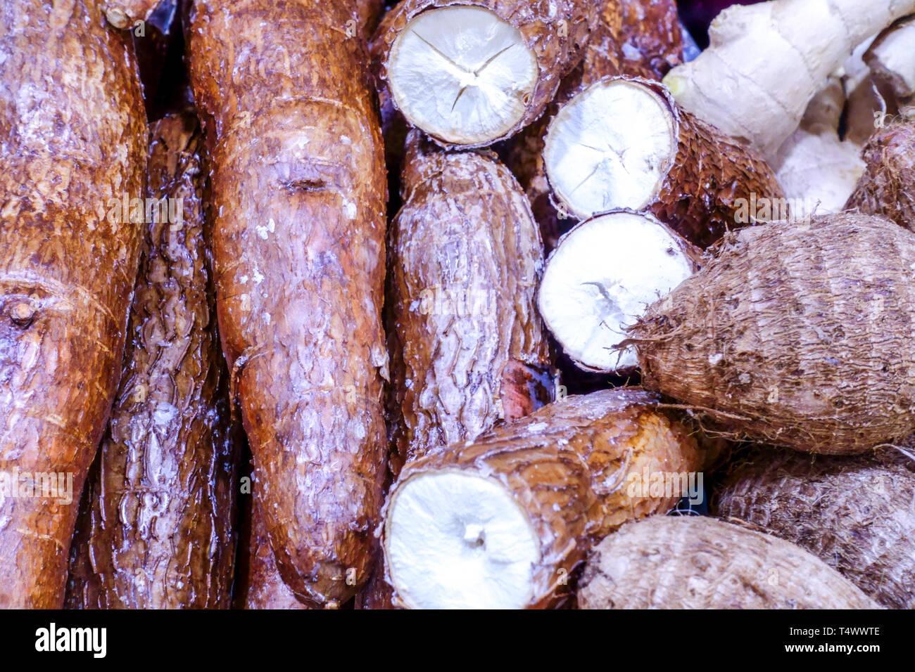 Racine de manioc, yucca racine sur le marché de l'Espagne Banque D'Images