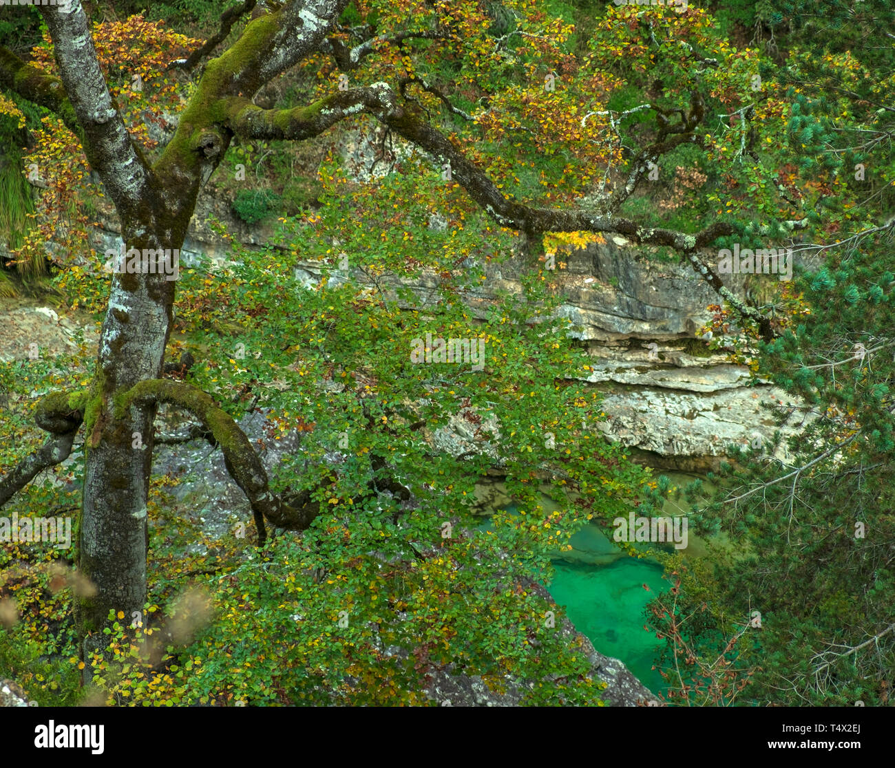 Parc national d'Ordesa et Monte Perdido. Pyrénées d'Aragon. Espagne Banque D'Images