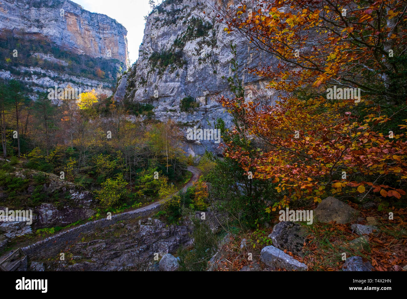 Parc national d'Ordesa et Monte Perdido. Pyrénées d'Aragon. Espagne Banque D'Images