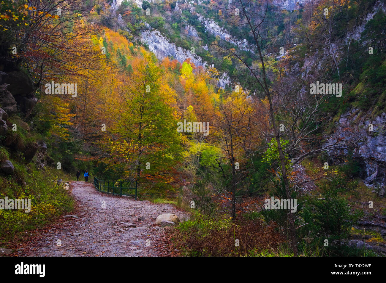 Parc national d'Ordesa et Monte Perdido. Pyrénées d'Aragon. Espagne Banque D'Images