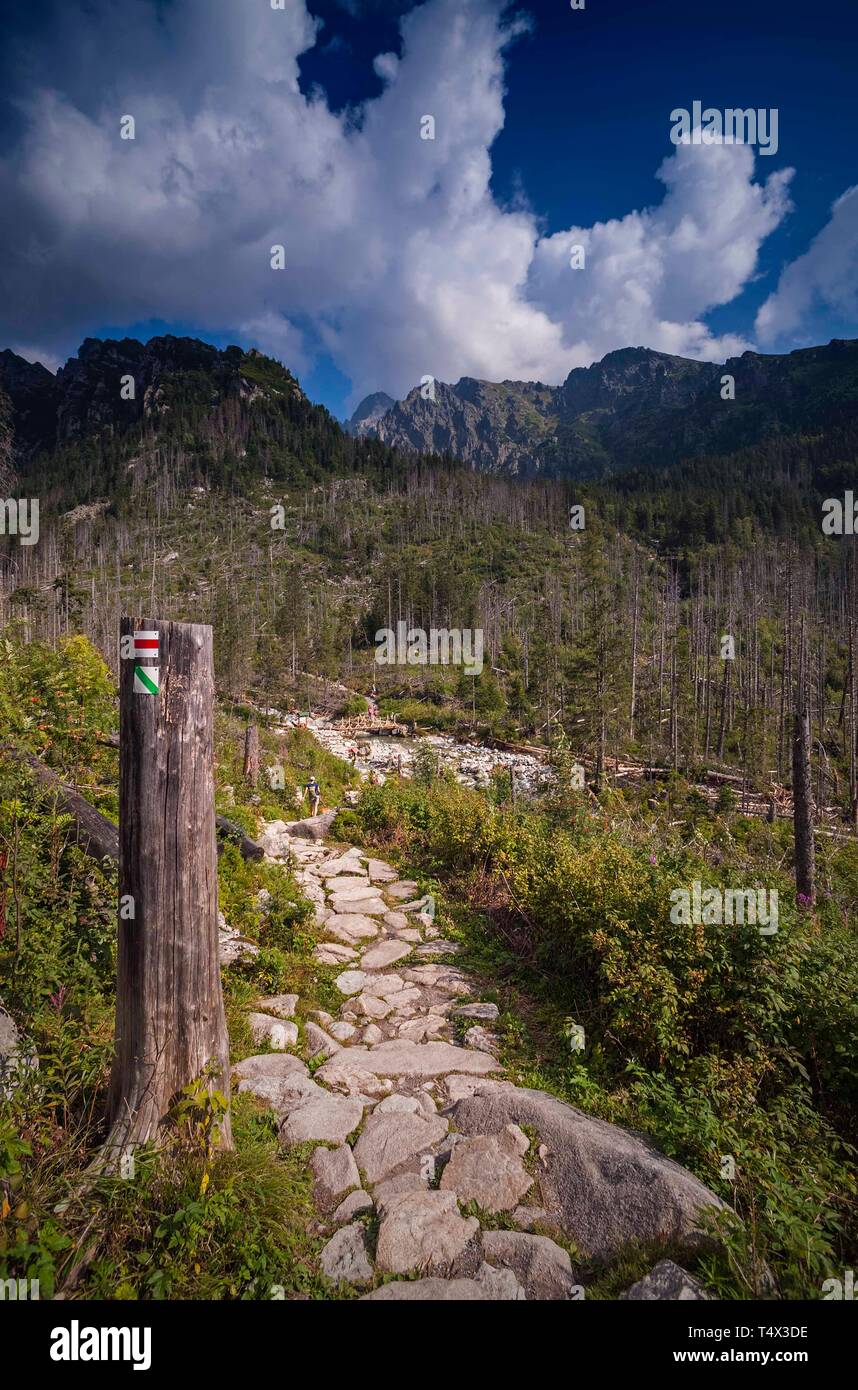 À partir de la randonnée à Hrebienok Skalnaté pleso Banque D'Images