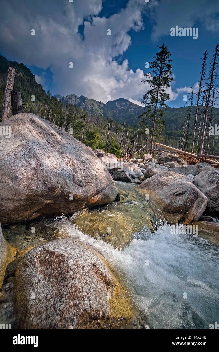 À partir de la randonnée à Hrebienok Skalnaté pleso Banque D'Images