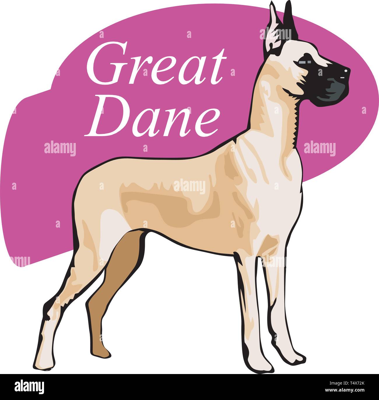 Grand Danois Vector Illustration Illustration de Vecteur