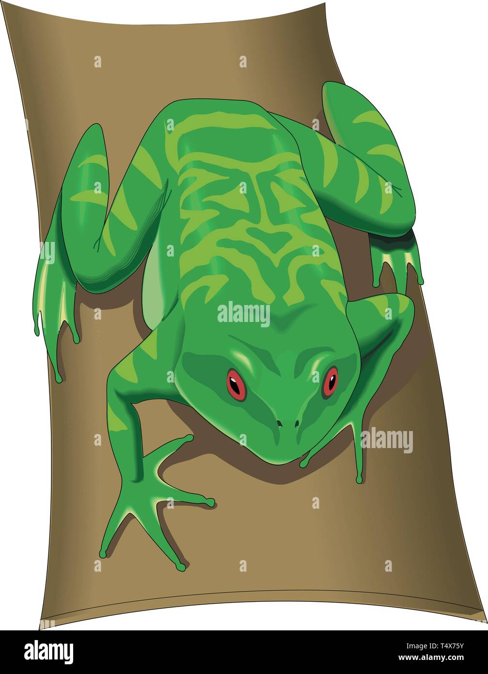 Grenouille d'arbre Vector Illustration Illustration de Vecteur