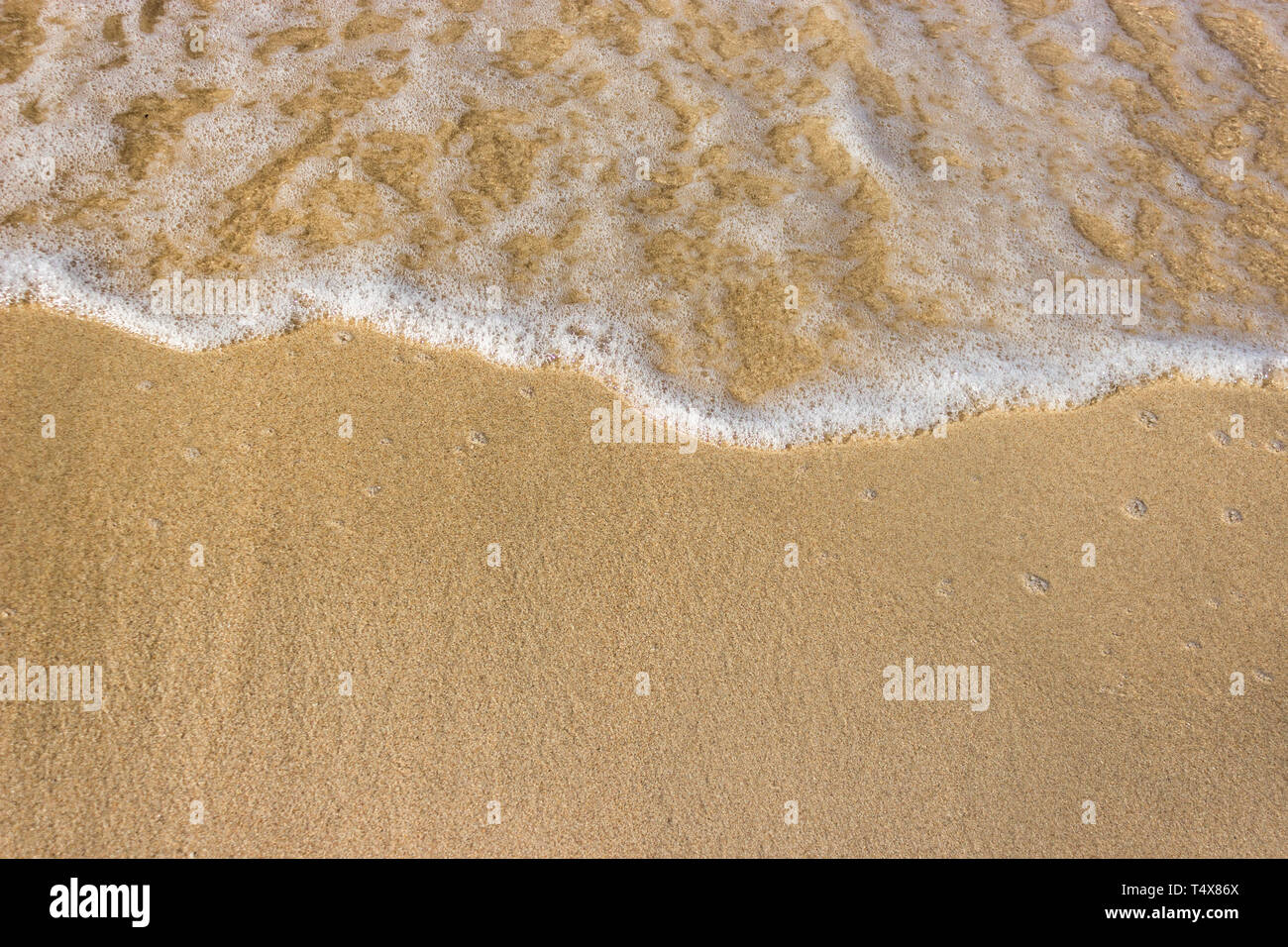 Vagues douces avec de la mousse de l'océan sur la plage de sable contexte Banque D'Images