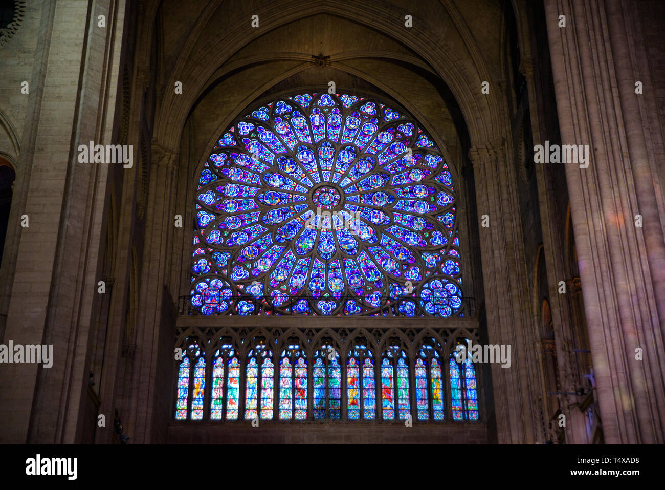 La rosace en vitrail de la cathédrale Notre-Dame de Paris, France Banque D'Images