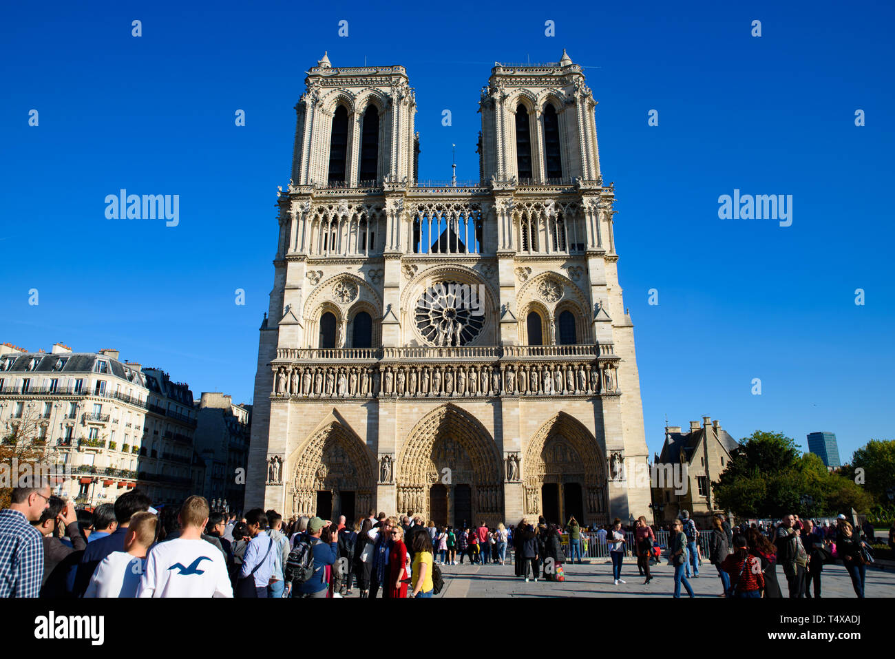 La Cathédrale Notre Dame, Paris, France Banque D'Images