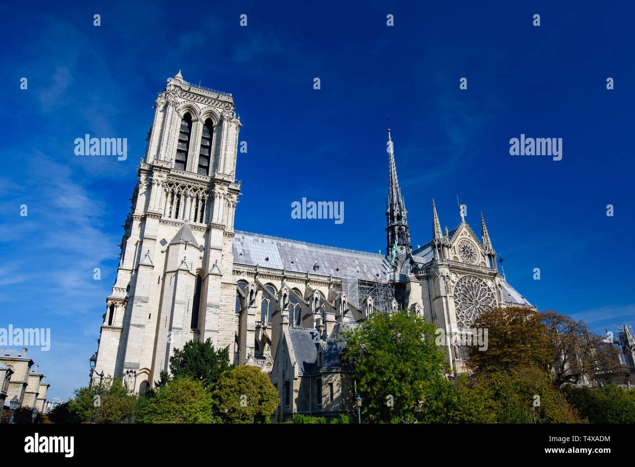 La Cathédrale Notre Dame, Paris, France Banque D'Images
