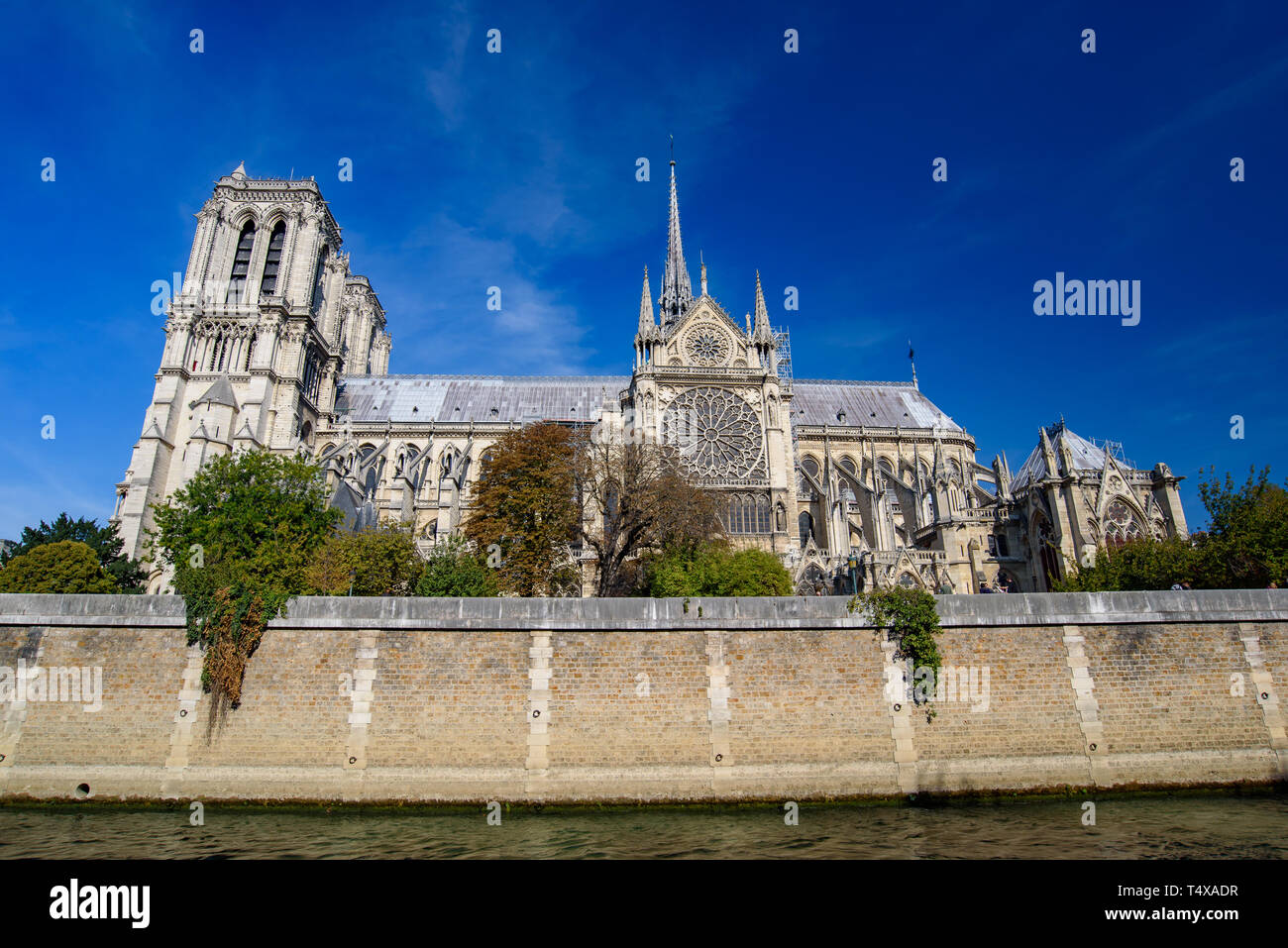 La Cathédrale Notre Dame, Paris, France Banque D'Images