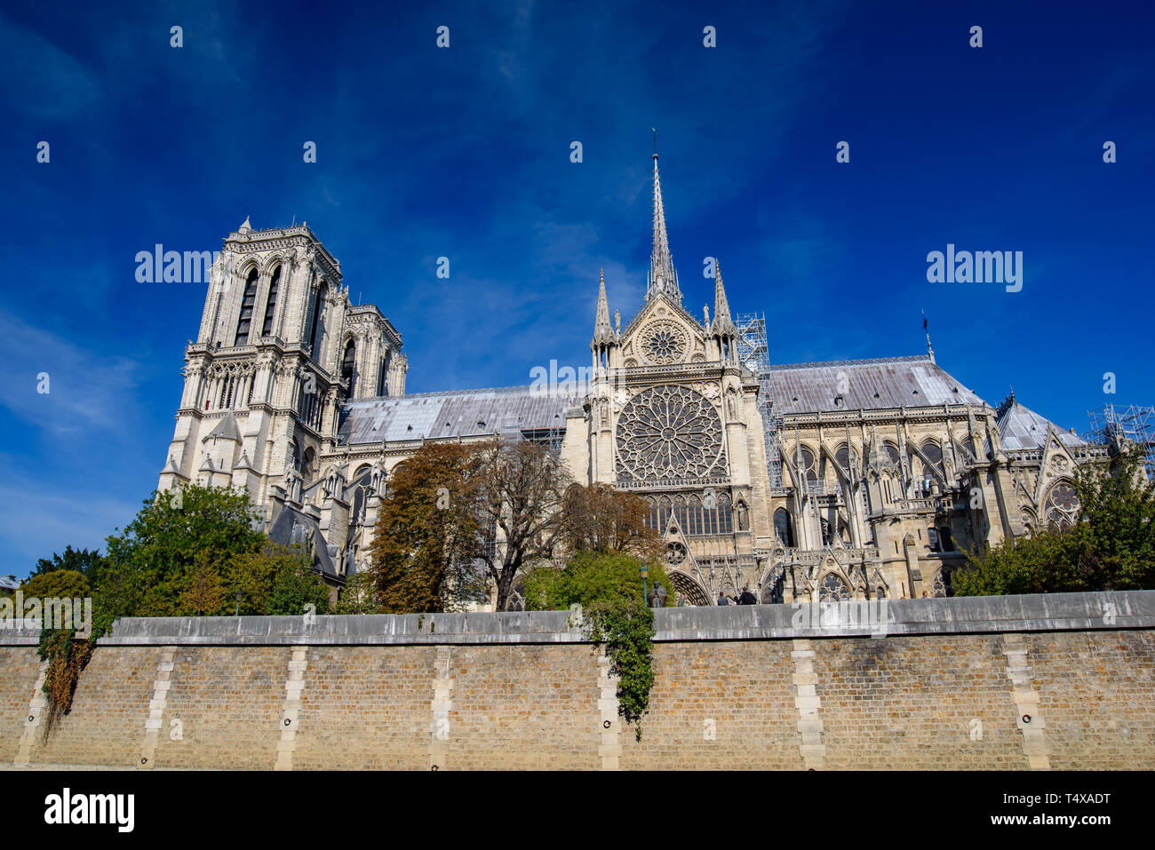 La Cathédrale Notre Dame, Paris, France Banque D'Images