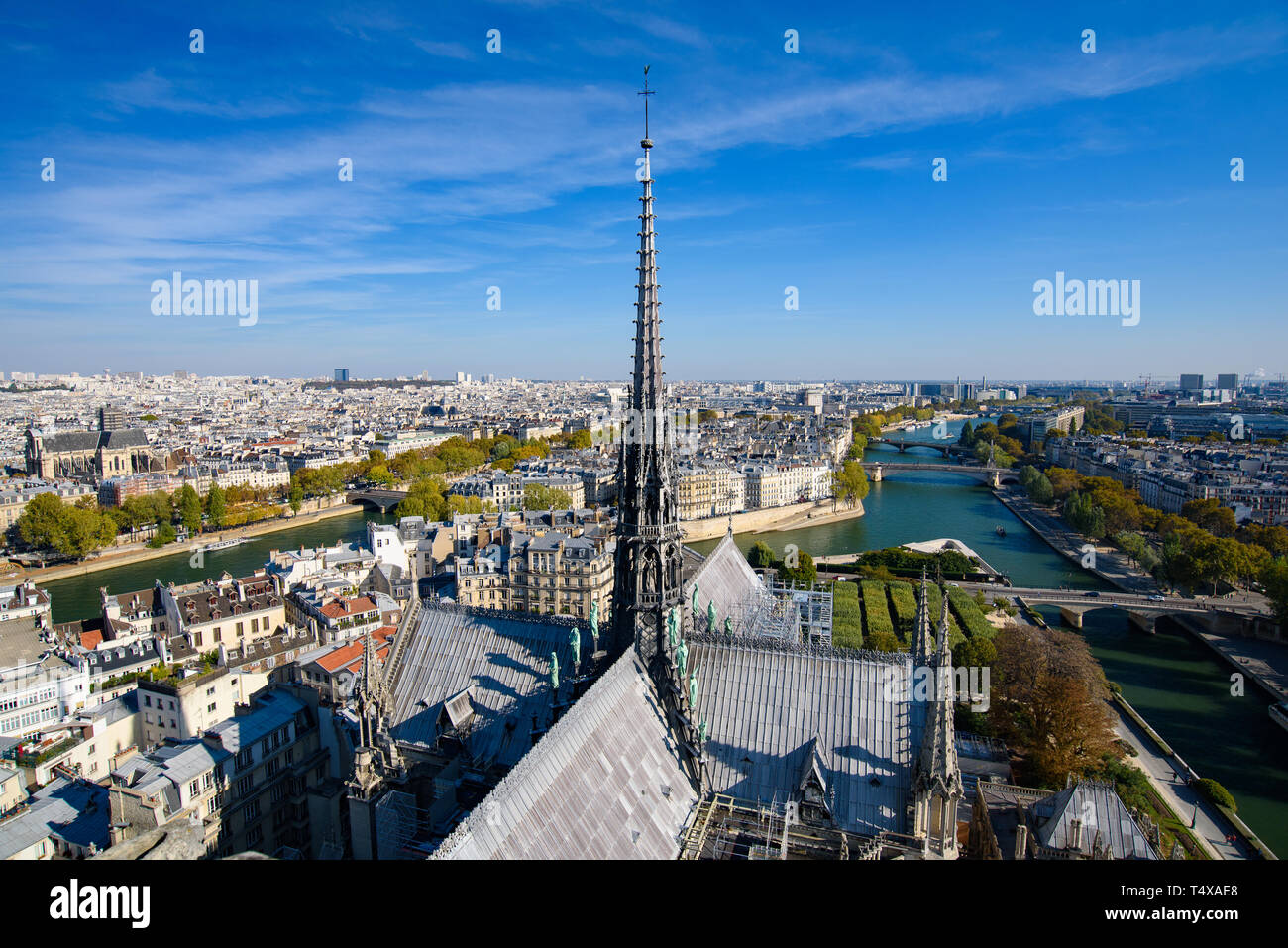 Vue de la tour centrale du haut de la Cathédrale Notre Dame de Paris, France Banque D'Images