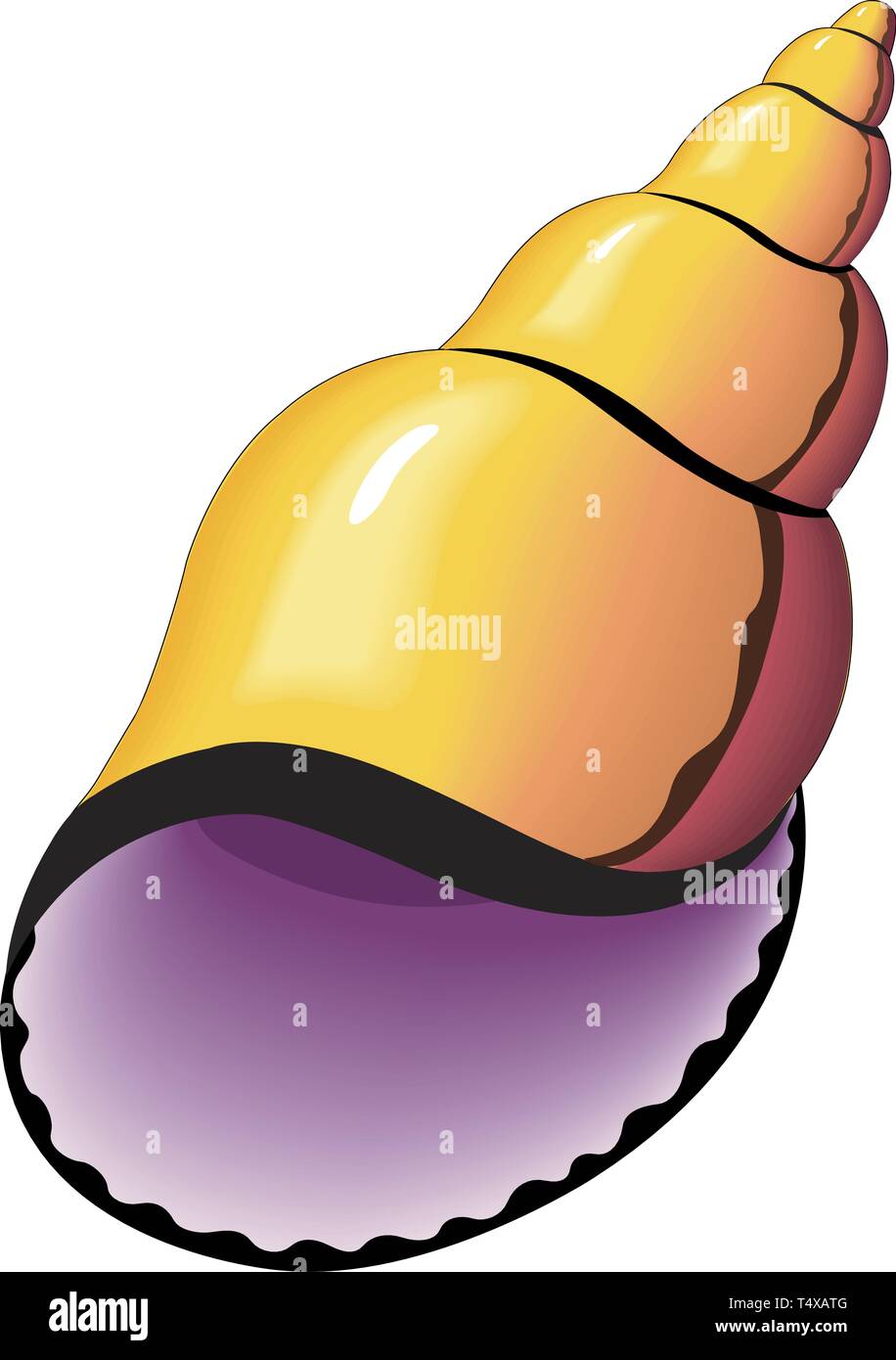 Bubble Shell Golden Vector Illustration Illustration de Vecteur