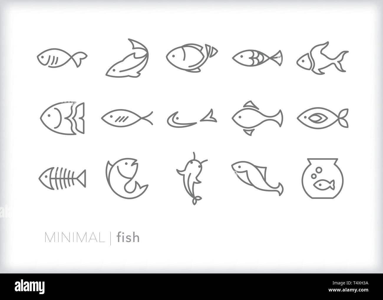 Ensemble de 15 icônes de ligne de poissons de différentes formes de l'eau douce et les poissons de l'océan animaux Illustration de Vecteur