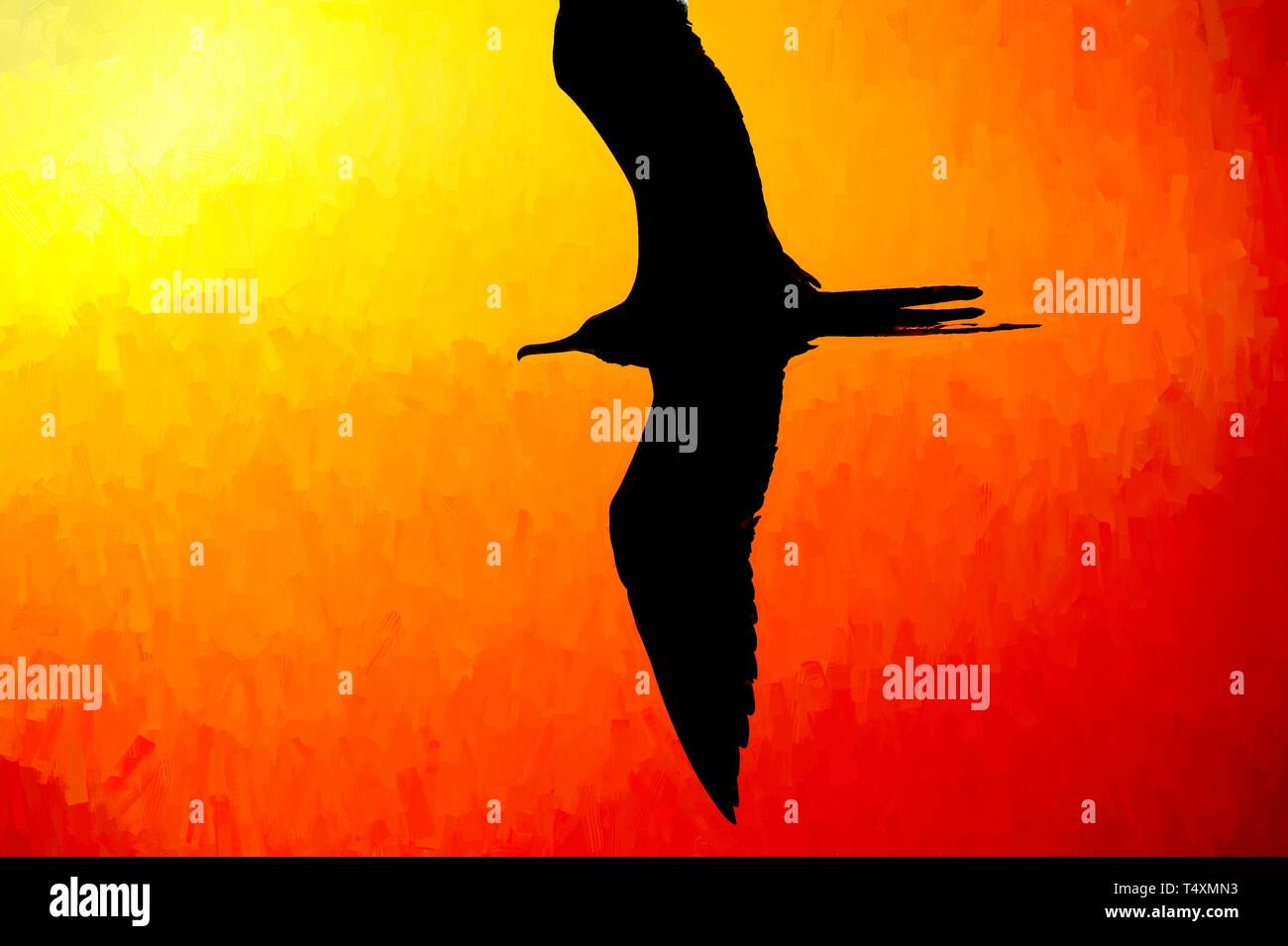 Silhouette oiseau battant est un symbole de paix de paix et un véritable voyage de l'espoir de la liberté et de la foi. Banque D'Images