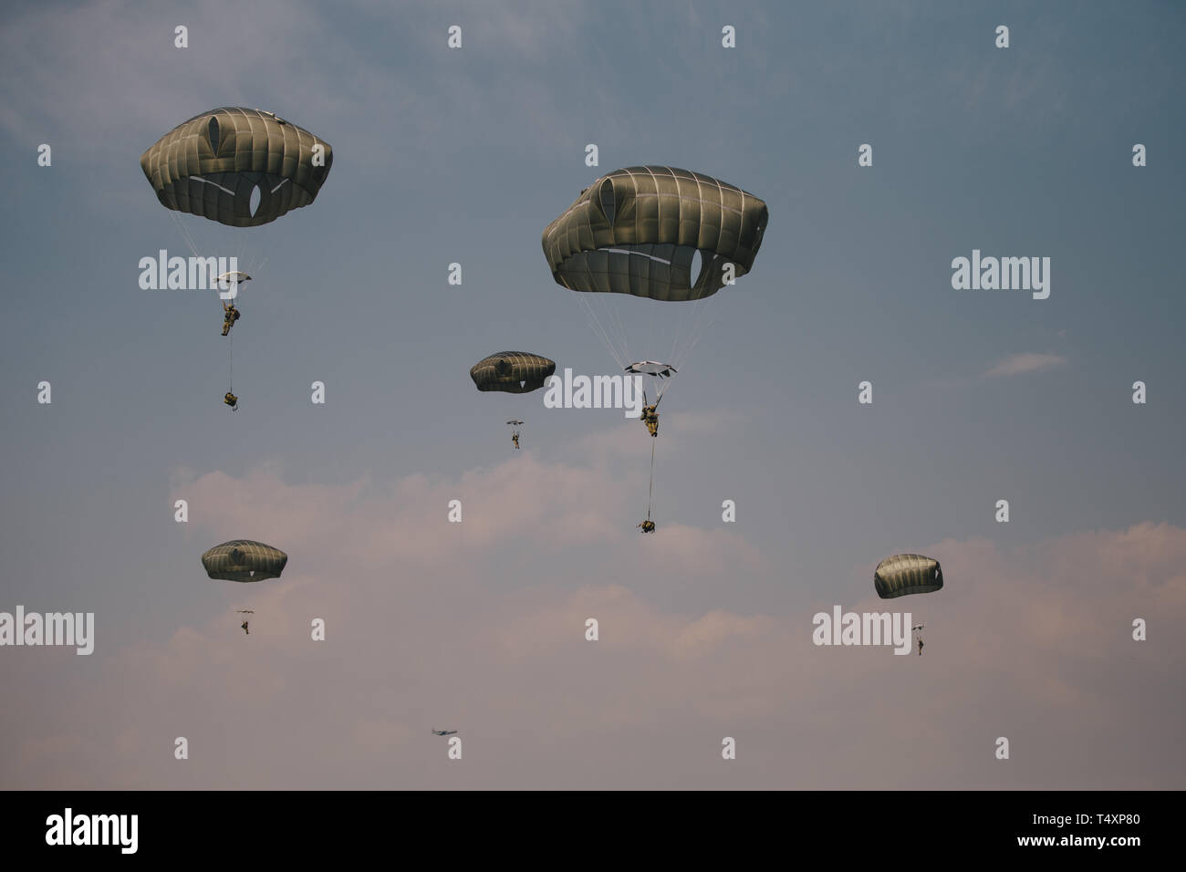 Les parachutistes de l'armée américaine de la 173e Brigade aéroportée participer à une opération aéroportée sur Juliet drop zone au nord-est de l'Italie, le 16 avril 2019. La formation avec nos partenaires permet d'accroître la préparation opérationnelle et la létalité de l'autre côté de la force de l'OTAN. Banque D'Images