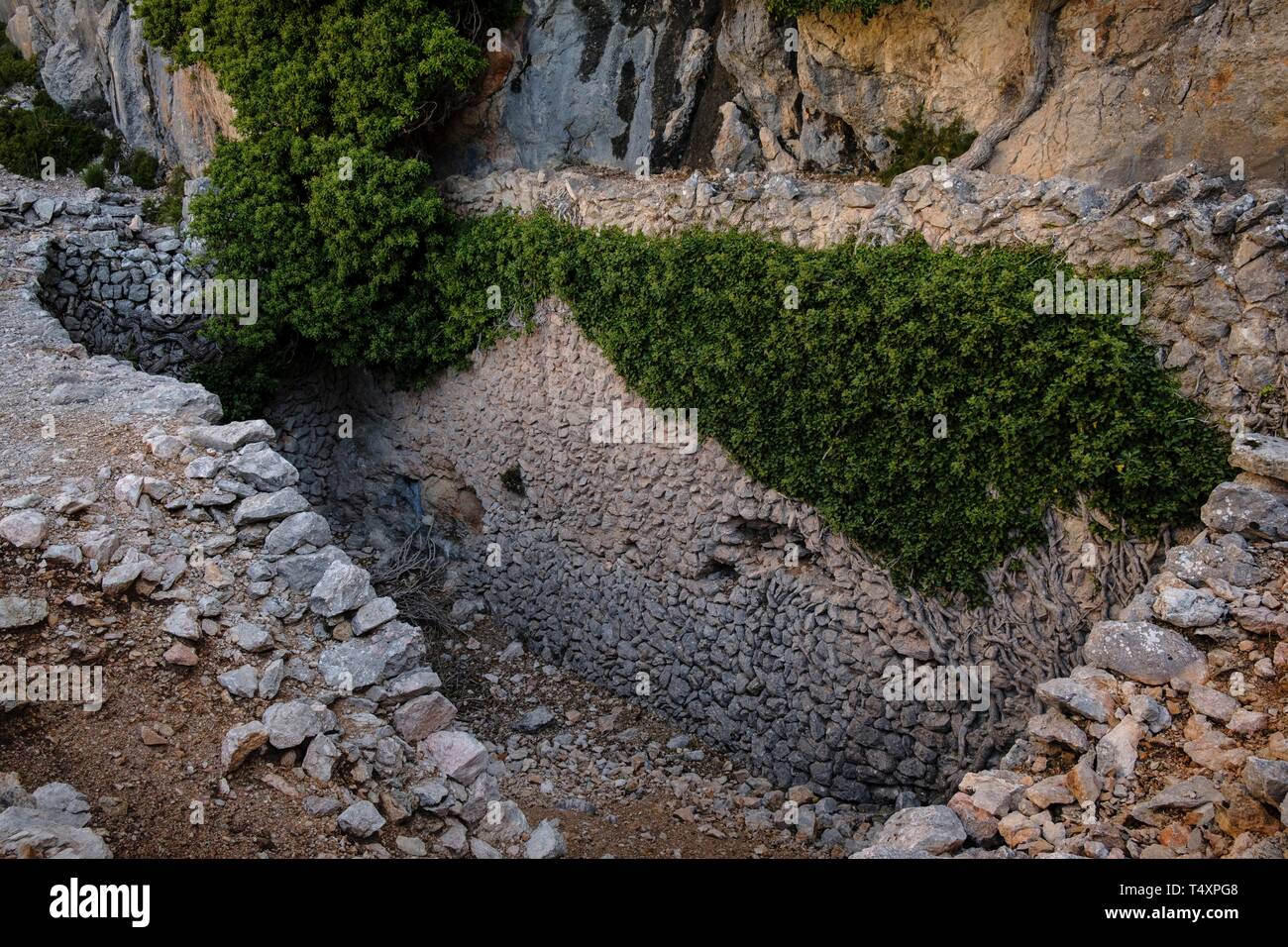 Le coma de n'Arbona, Casas de Nieve o cas de Neu, término municipal de Fornalutx, paraje natural de la Sierra de Tramuntana, à Majorque, îles Baléares, Espagne. Banque D'Images