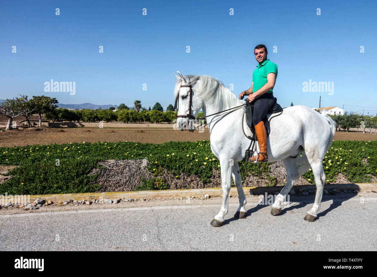 Espagne Valence Agriculture campagne jeune homme cheval Blanc cheval Espagnol fermier équitation cheval vue de côté région Valence Espagne Europe Banque D'Images