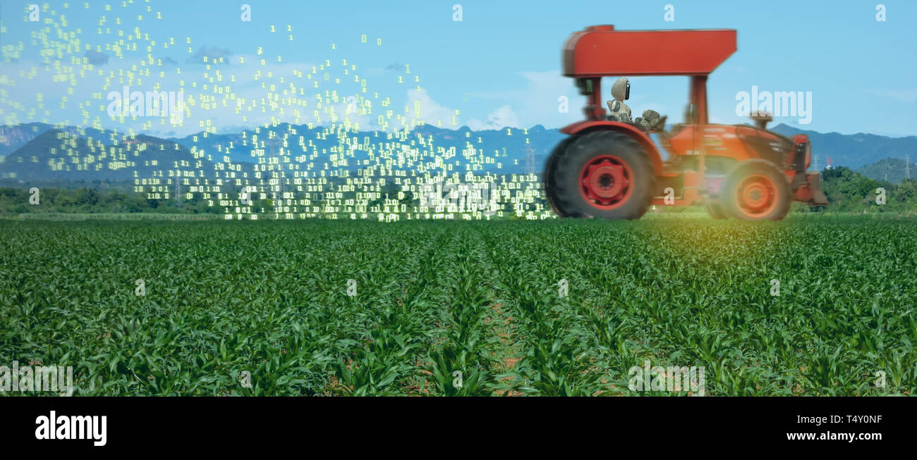 L'agriculture, de l'agriculture intelligente ito dans l'industrie 4.0 technologie avec l'intelligence artificielle et l'apprentissage machine concept. Il aide à améliorer, classées, Banque D'Images