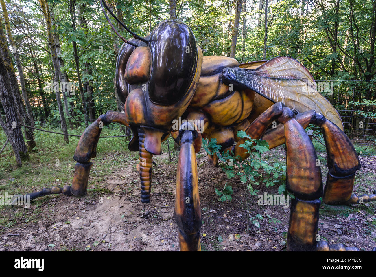 Modèle de l'abeille en kachoube de géants du Parc Parc d'Strysza village de Buda, région de Cachoubie Pologne Banque D'Images