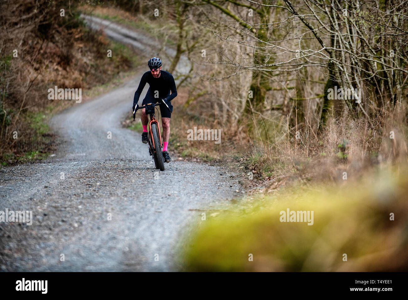 Un homme cyclotourisme le long d'une piste de gravier à Grizedale Forest dans le Lake District, en Angleterre, gravier, vélo de cyclotourisme. Banque D'Images