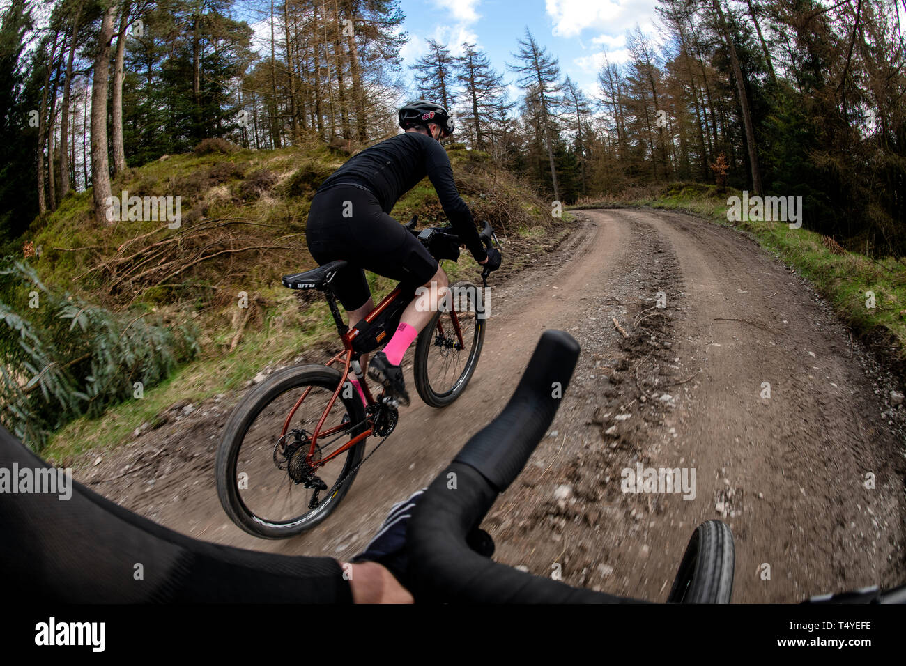 Un homme cyclotourisme le long d'une piste de gravier à Grizedale Forest dans le Lake District, en Angleterre, gravier, vélo de cyclotourisme. Banque D'Images