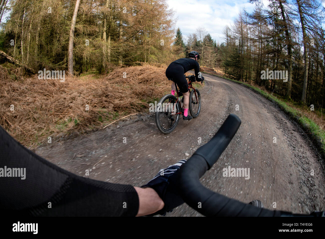 Un homme cyclotourisme le long d'une piste de gravier à Grizedale Forest dans le Lake District, en Angleterre, gravier, vélo de cyclotourisme. Banque D'Images