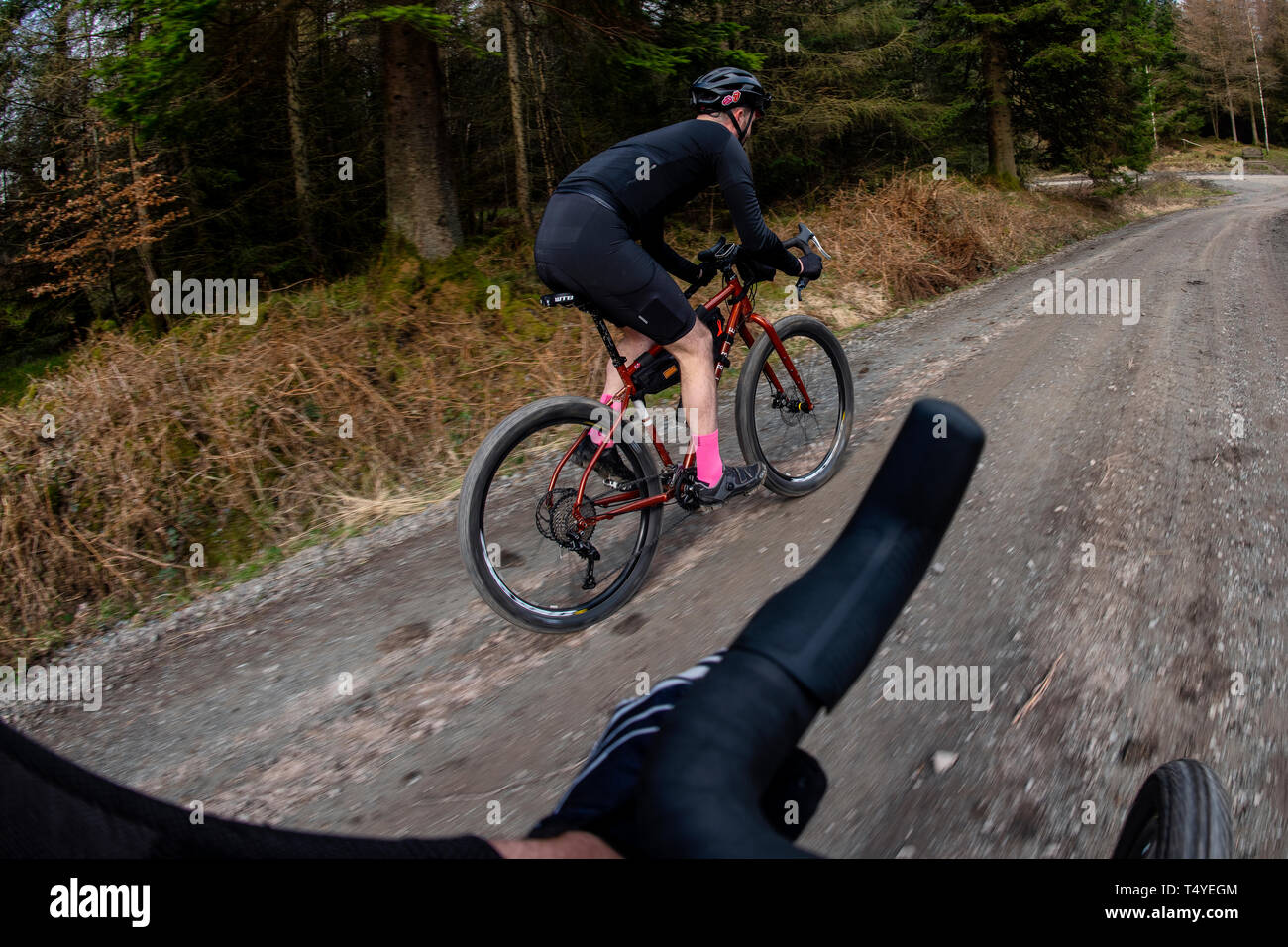 Un homme cyclotourisme le long d'une piste de gravier à Grizedale Forest dans le Lake District, en Angleterre, gravier, vélo de cyclotourisme. Banque D'Images