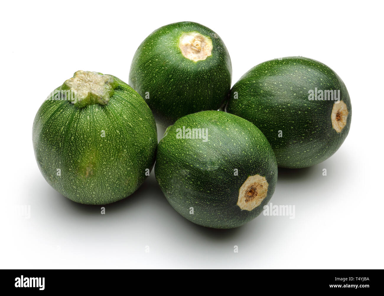 Courgette ronde vert isolé sur fond blanc Banque D'Images