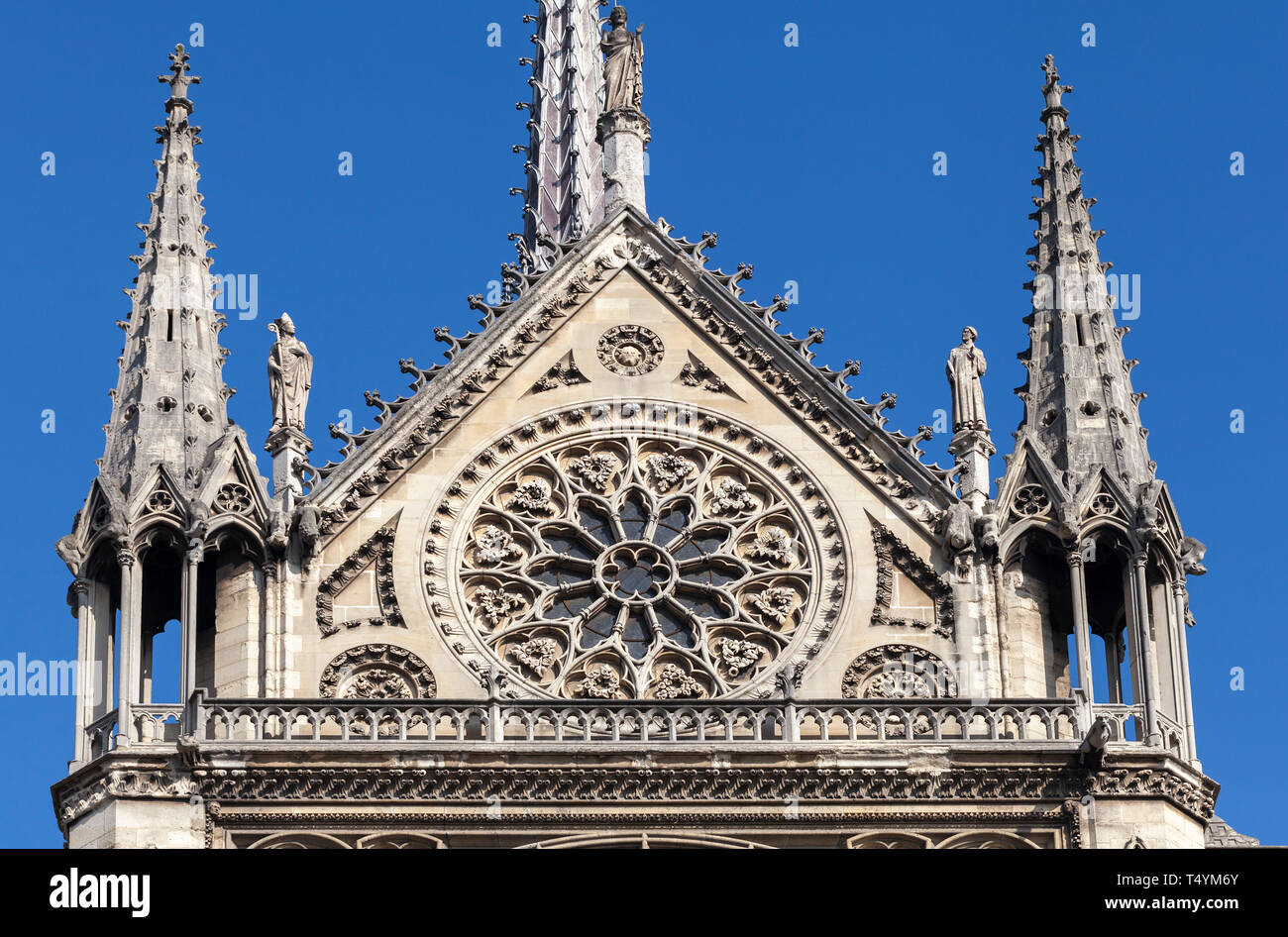 Le transept de la cathédrale Notre-Dame de Paris Banque D'Images