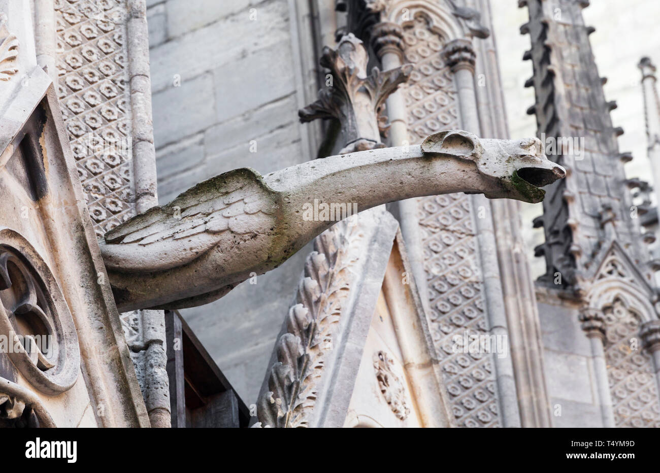 Gargouille de Cathédrale Notre Dame de Paris Banque D'Images