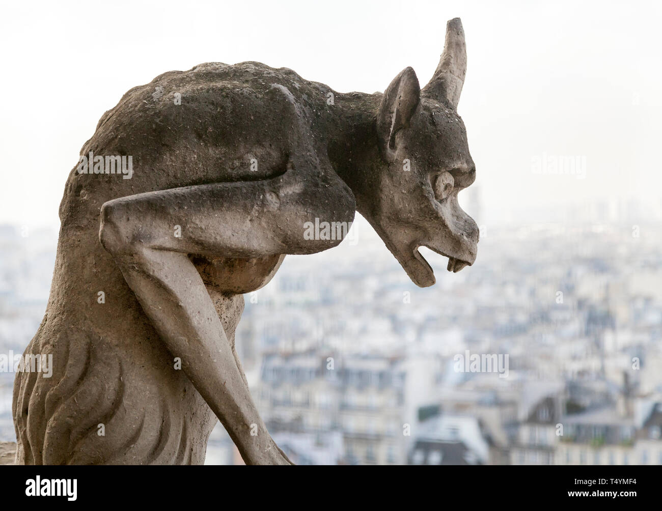 Chimera sur Notre Dame de Paris Banque D'Images