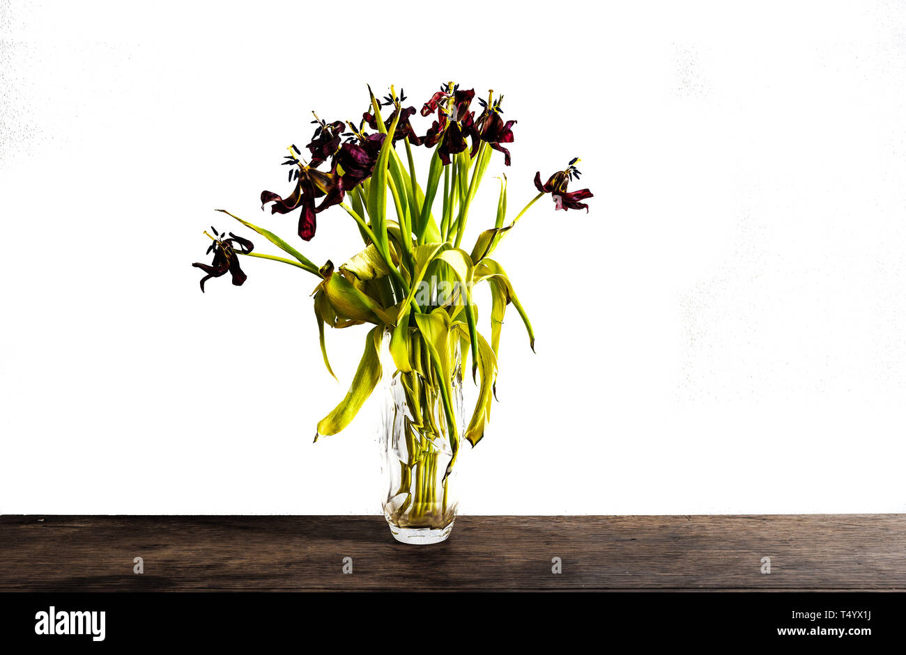 Tulipes rouges délavées dans vase en verre sur une table en bois rustique contre mur blanc Banque D'Images