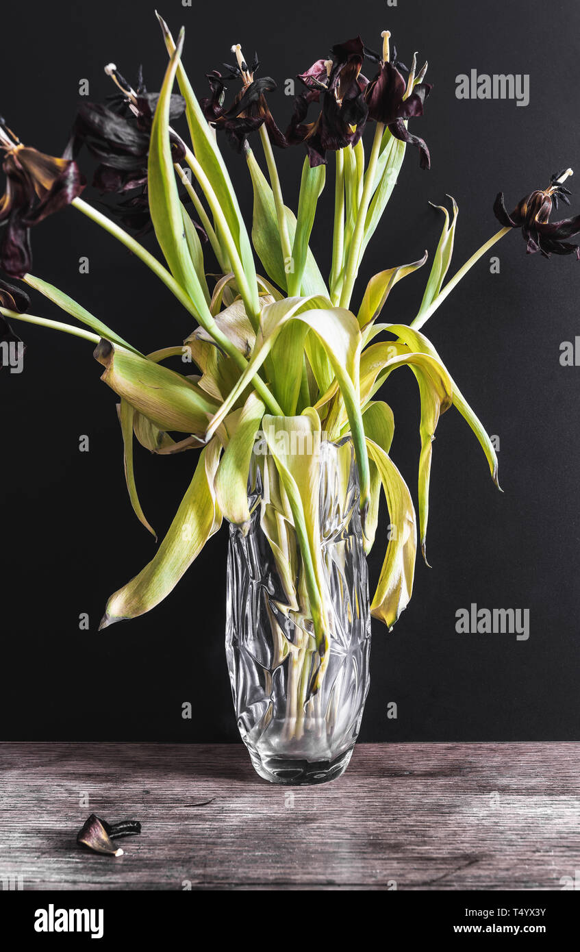 Tulipes rouges délavées dans vase en verre sur une table en bois rustique contre mur sombre Banque D'Images