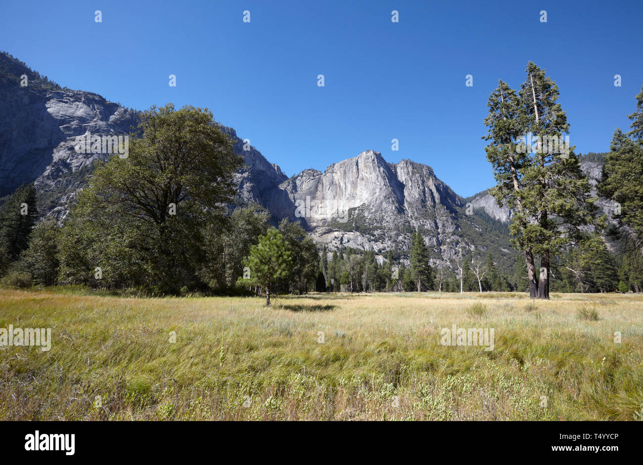Les roches de la cathédrale, Yosemite Valley, Californie Banque D'Images