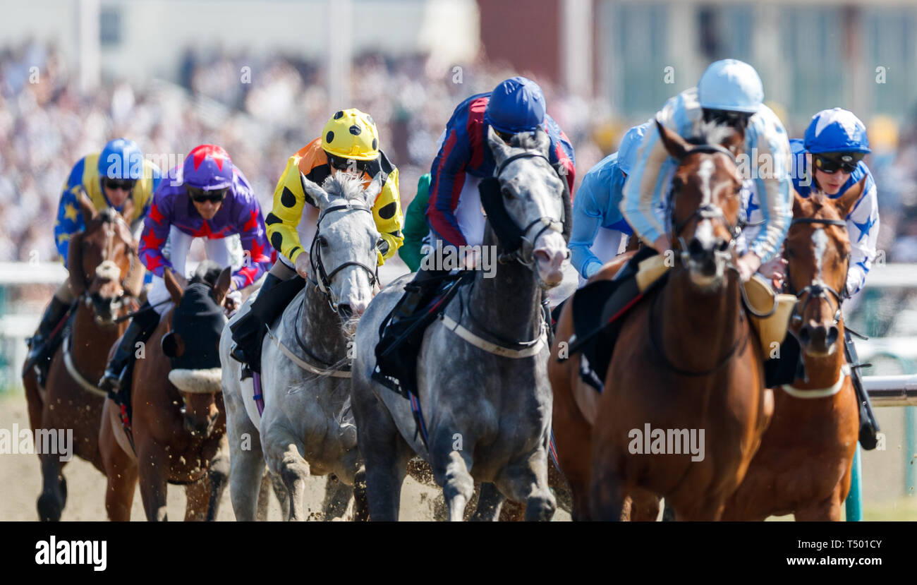 L'adjudicataire éventuel du Betway tous les temps Marathon Enjeux Conditions Watersmeet (jaune et noir) soie monté par Joe Fanning pendant toutes les finales des championnats Météo Journée à Lingfield Park Racecourse. Banque D'Images