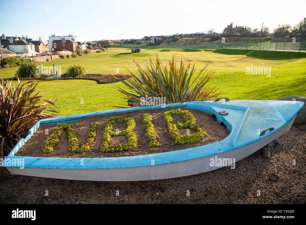 North Berwick en fleur afficher dans un vieux bateau à rames Banque D'Images