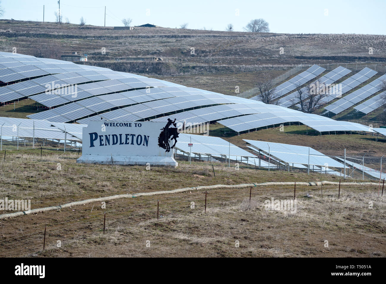 Panneaux photovoltaïques à une ferme solaire dans la région de Pendleton, Oregon. Banque D'Images