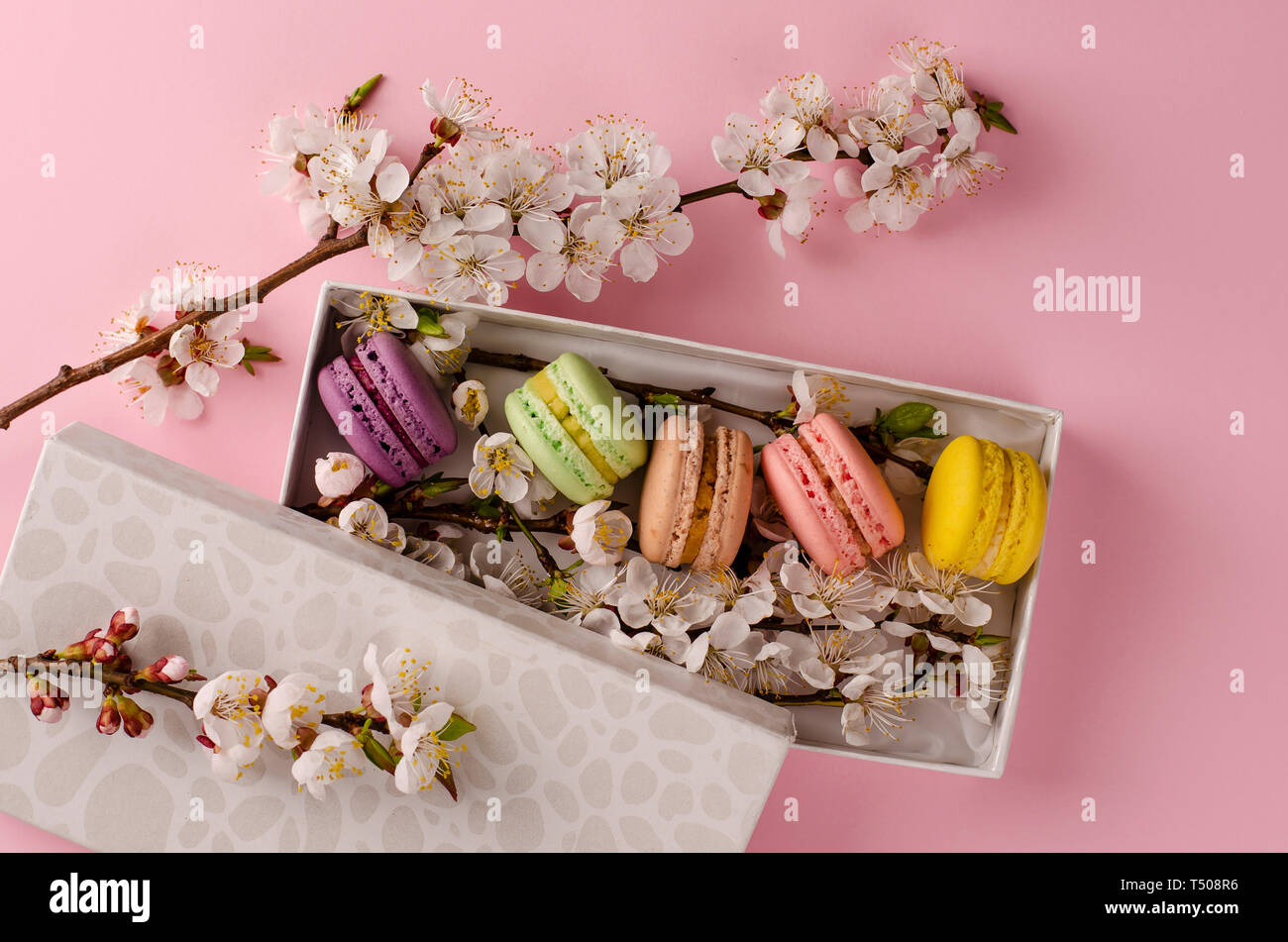 Macarons frais dans une boîte-cadeau avec des fleurs d'abricotier sur fond rose pastel. Pour la Fête des Mères, cadeau délicieux. Concept de carte de vœux. Pas d'alimentation Banque D'Images