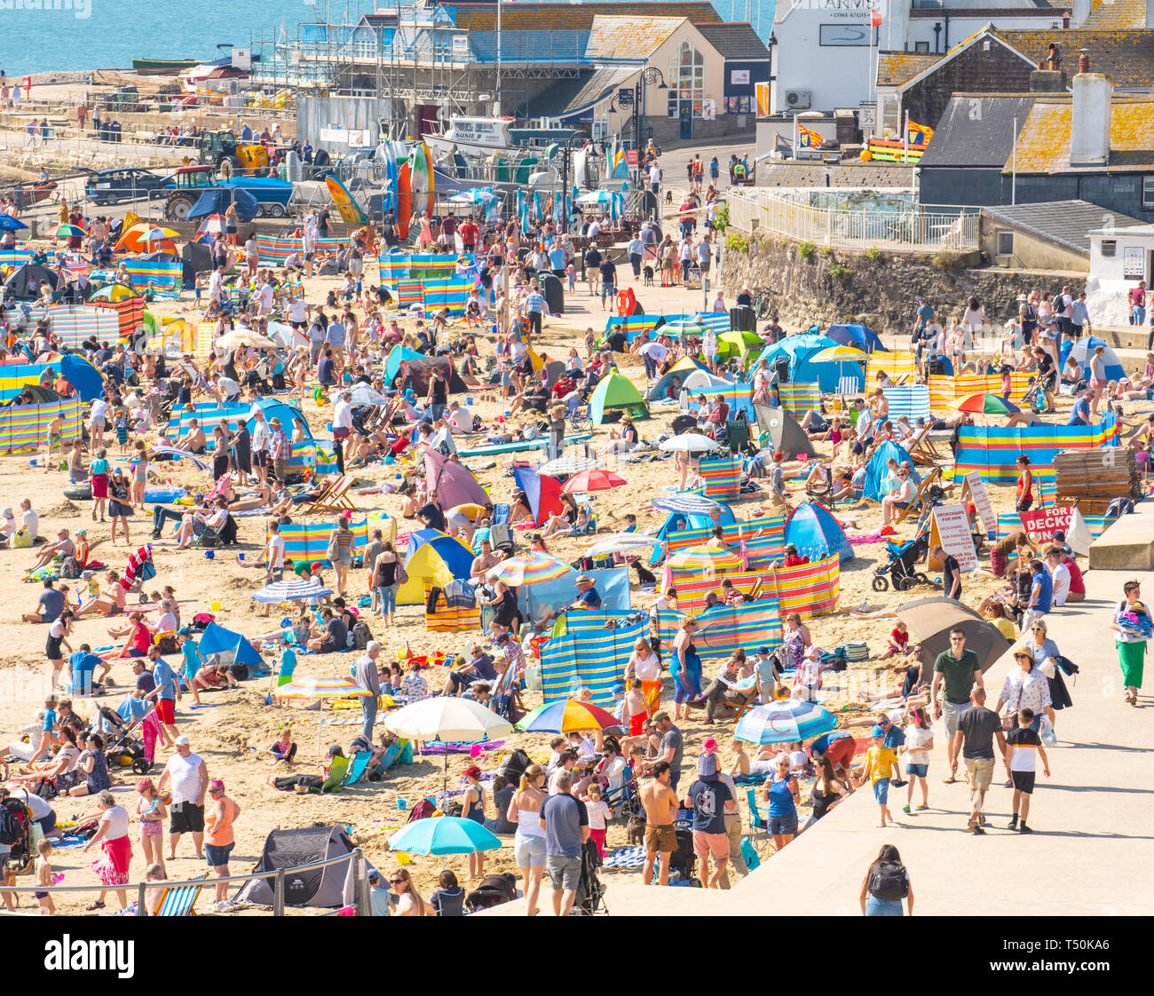 Lyme Regis, dans le Dorset, UK. 20 avril 2019. Météo France : les vacanciers et amateurs de pack la jolie plage de la station balnéaire de Lyme Regis pour se prélasser au soleil le samedi de Pâques et sur la journée la plus chaude de l'année jusqu'à présent. Le Soleil Profitez d'un ciel bleu lumineux qu'elles prendre le soleil dans la maison de banque de Pâques et des températures plus chaudes les week-end de Pâques pendant 70 ans. La plage principale de la ville est emballé par 10h30. Credit : Celia McMahon/Alamy Live News. Banque D'Images