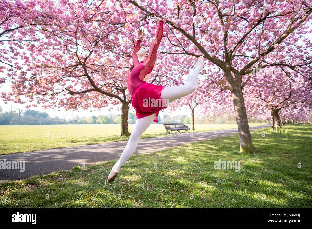 Londres, Royaume-Uni. Apr 20, 2019. Météo France : Beth Porter, avec un danseur de ballet de sémaphore, effectue dans le parc de Greenwich dans le chaud soleil de l'après-midi près du cerisiers canicule durant le week-end de Pâques. Crédit : Guy Josse/Alamy Live News Banque D'Images