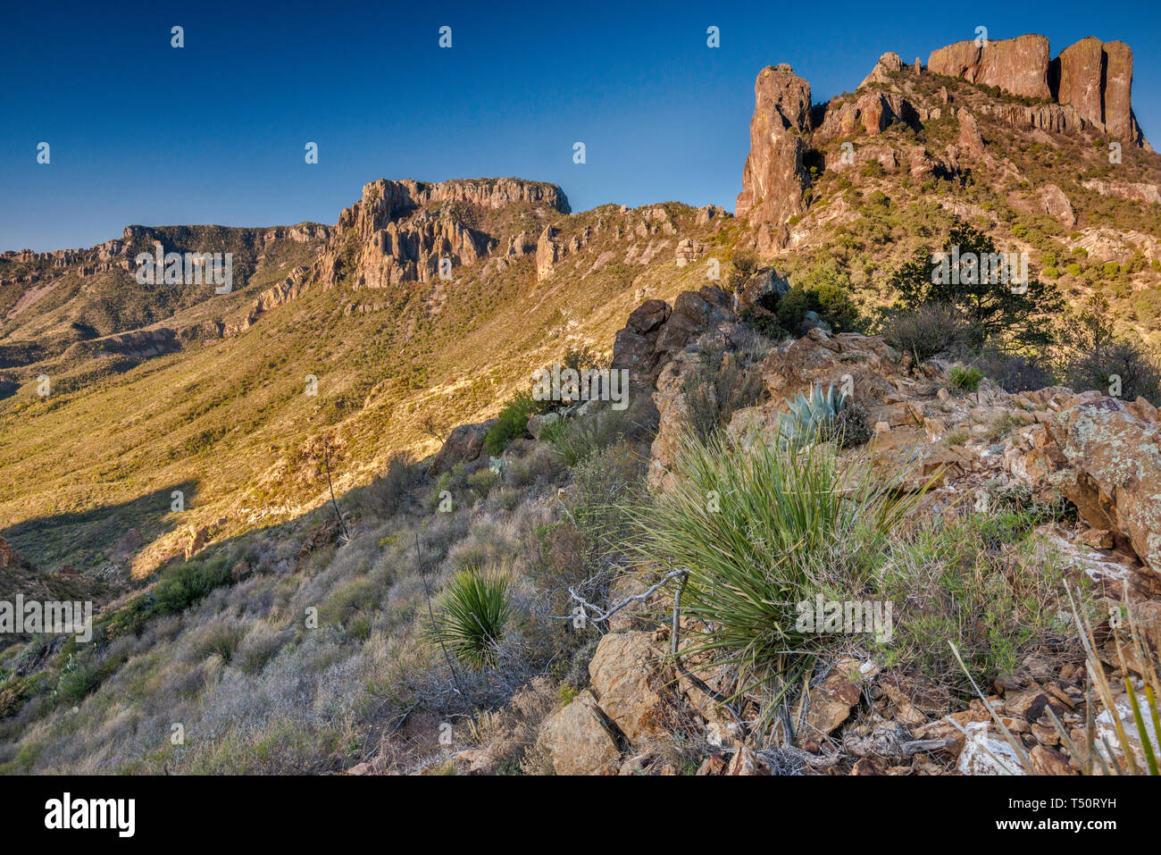 Casa Grande de pointe, Juniper Canyon vue depuis le sentier de la mine perdue dans les montagnes Chiso, Big Bend National Park, Texas, États-Unis Banque D'Images