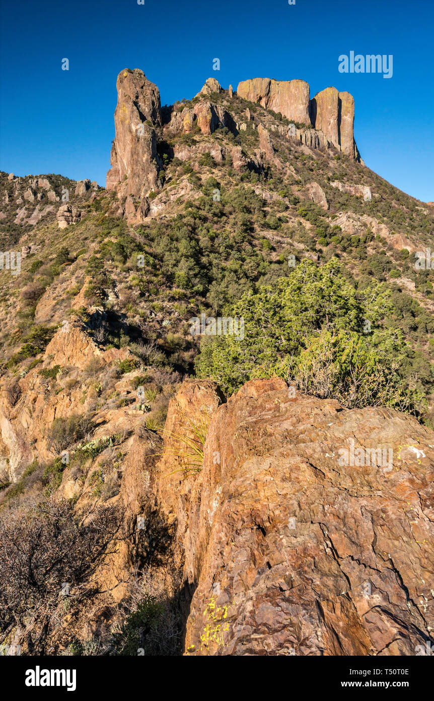 Casa Grande crête, vue depuis le sentier de la mine perdue dans les montagnes Chiso, Big Bend National Park, Texas, États-Unis Banque D'Images