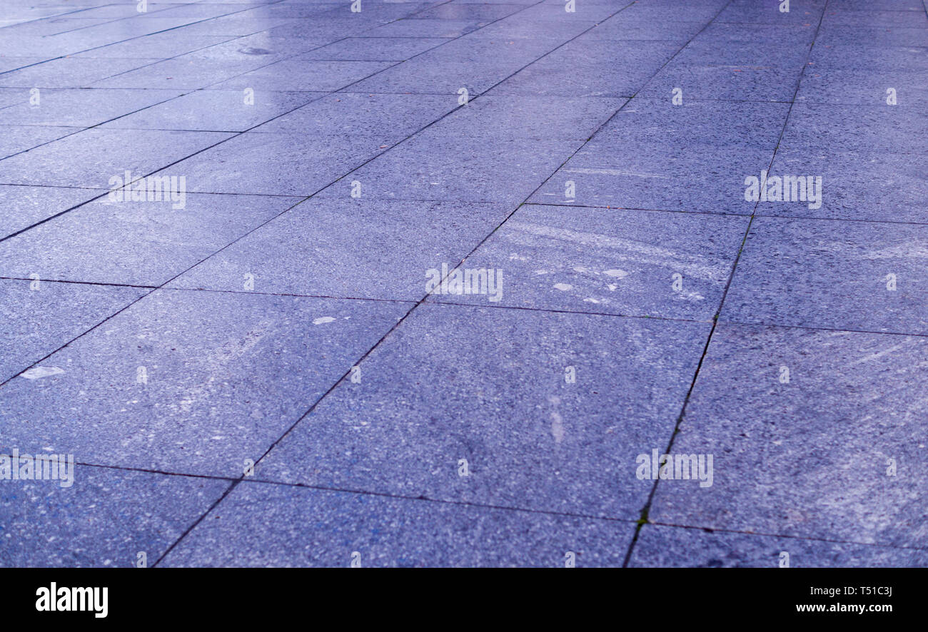Une chaussée mouillée de carreaux bleus dans le parc à jour de pluie. arrière-plan, la décoration. Banque D'Images