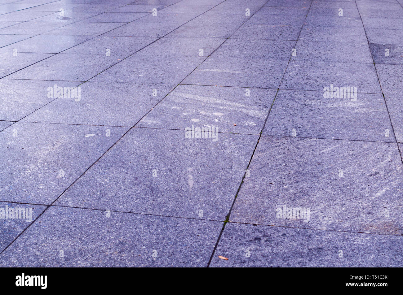 Une chaussée mouillée de carreaux bleus dans le parc à jour de pluie. arrière-plan, la décoration. Banque D'Images