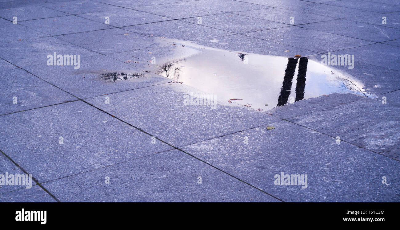 Une chaussée mouillée de carreaux bleus dans le parc à jour de pluie. arrière-plan, la décoration. Banque D'Images